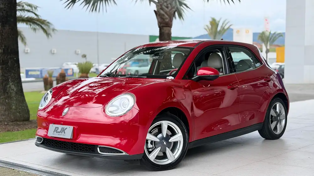 GWM Others Skin (Elétrico) 2024